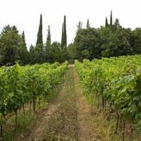 Вилла в Италии, Пьенца, 1845 кв.м.