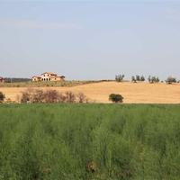 Villa in Italy, Palau, 420 sq.m.
