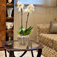 Apartment in the city center in Italy, Lazio, San Donnino, 80 sq.m.