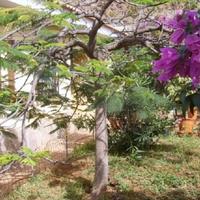 Вилла в Испании, Канарские Острова, Санта-Крус-де-Тенерифе, 142 кв.м.