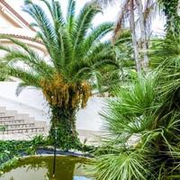 Villa in Spain, Catalunya, Begur, 297 sq.m.