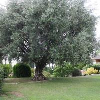 Villa in Spain, Catalunya, Begur, 502 sq.m.