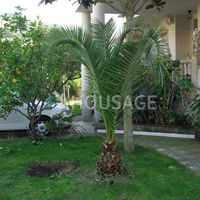 Villa in Spain, Catalunya, Tossa de Mar, 300 sq.m.