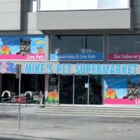 Other commercial property in Republic of Cyprus, Protaras, 1515 sq.m.