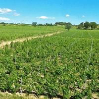 Другая коммерческая недвижимость во Французской Гвиане, 3200 кв.м.