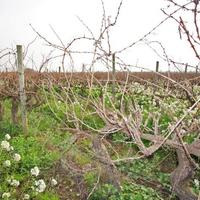 Other commercial property in Guyane, 2850 sq.m.