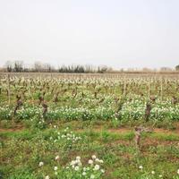 Other commercial property in Guyane, 2850 sq.m.