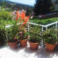 Villa in Spain, Catalunya, Begur, 250 sq.m.