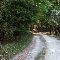 House in Italy, Venice, 2500 sq.m.