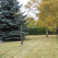 Rental house in Germany, Munich, 605 sq.m.