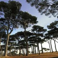 Hotel in Italy, Lazio, San Donnino, 2790 sq.m.