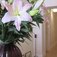 Hotel in the city center in Italy, Lazio, San Donnino, 180 sq.m.