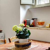 Apartment in Italy, Lazio, San Donnino, 60 sq.m.