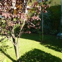 Apartment in Italy, Palau, 110 sq.m.