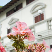 Вилла в Италии, Пиза, 600 кв.м.