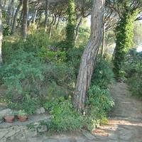 Вилла в Испании, Каталония, Багур, 506 кв.м.