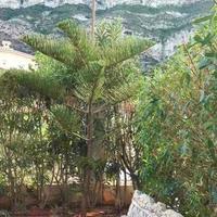 Villa in Spain, Comunitat Valenciana, Alicante, 199 sq.m.