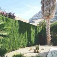 Villa in Spain, Comunitat Valenciana, Alicante, 199 sq.m.