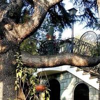 Вилла в Италии, Сан-Донино, 350 кв.м.