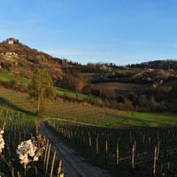 Other in Italy, Pienza, 2200 sq.m.