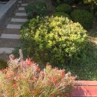 Villa in Spain, Catalunya, Begur, 250 sq.m.