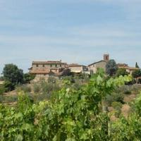 Дом в Италии, Пьенца, 955 кв.м.