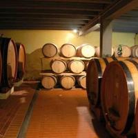 Дом в Италии, Пьенца, 955 кв.м.