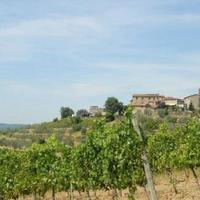 Дом в Италии, Пьенца, 955 кв.м.