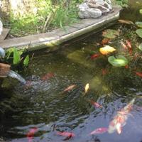 Villa in Guyane, 250 sq.m.