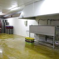 Production in Spain, Catalunya, Barcelona, 2000 sq.m.