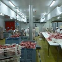 Production in Spain, Catalunya, Barcelona, 2000 sq.m.