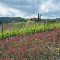 Дом в Италии, Пьенца, 4600 кв.м.