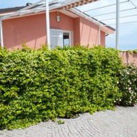 Вилла в Италии, Сан-Донино