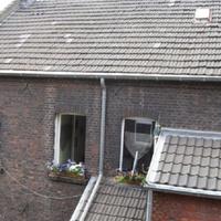 Rental house in Germany, Cologne, 498 sq.m.