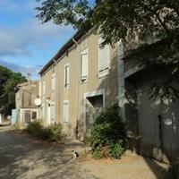 Виноградник во Французской Гвиане