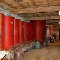 Виноградник во Французской Гвиане