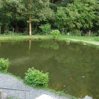 Other commercial property in Germany, Munich, 480 sq.m.