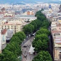 Другая коммерческая недвижимость в Испании, Каталония, Барселона, 210 кв.м.