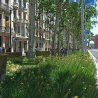 Другая коммерческая недвижимость в Испании, Каталония, Барселона, 344 кв.м.