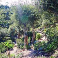 Villa in Spain, Catalunya, Lloret de Mar, 130 sq.m.