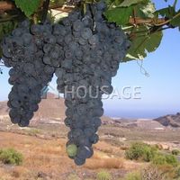 Вилла в Испании, Канарские Острова, Санта-Крус-де-Тенерифе