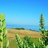 Дом на Кипре, Протарас, 268 кв.м.