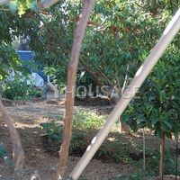 Villa in Spain, Canary Islands, Santa Cruz de Tenerife, 400 sq.m.