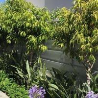 Дом на первой линии моря/озера на Кипре, Протарас, 246 кв.м.