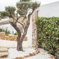 House in Spain, Comunitat Valenciana, Alicante, 410 sq.m.