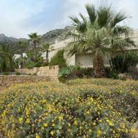 House in Spain, Comunitat Valenciana, Alicante, 286 sq.m.