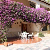 House in Spain, Comunitat Valenciana, Alicante, 518 sq.m.