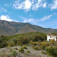 Other in Spain, Andalucia