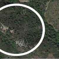 Other in Spain, Andalucia