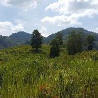 Land plot at the second line of the sea / lake, in the suburbs in Thailand, Phuket